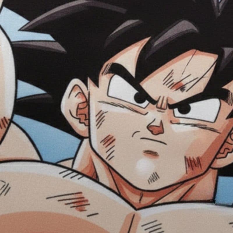 6 6