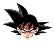 53